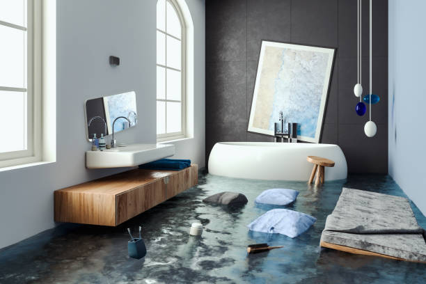 Best Emergency water damage restoration  in Reno, TX