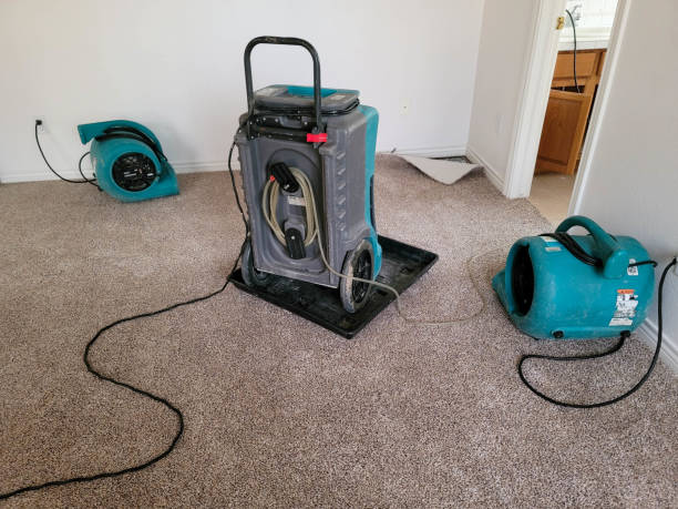 Reliable Reno, TX Water damage restoration Solutions