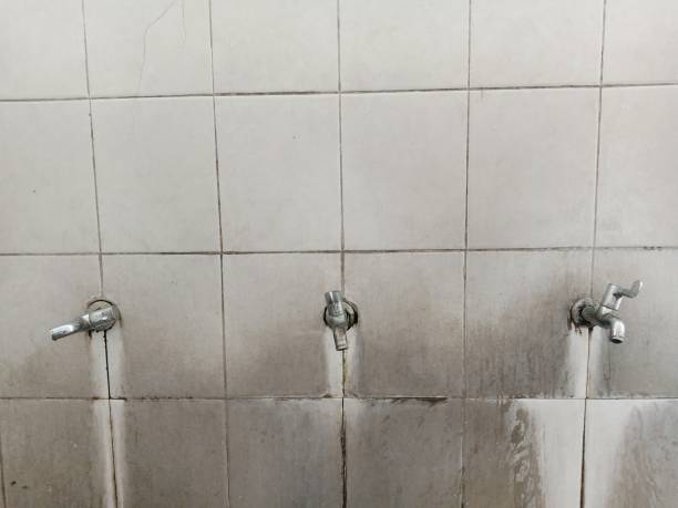 Reliable Reno, TX Water damage restoration Solutions