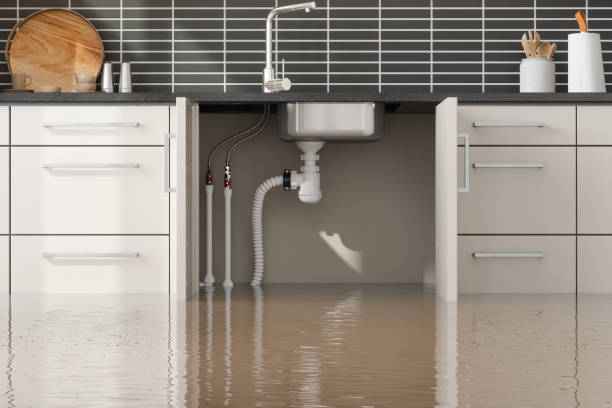 Carpet water damage restoration in Reno, TX