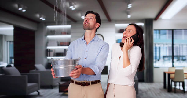 Best Water damage contractors near me  in Reno, TX